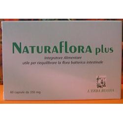 NATURAFLORA PLUS