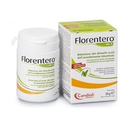 FLORENTERO ACT